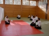 aikido-verbandslehrgang-oeav-budokan-wels-2013-17