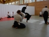 aikido-verbandslehrgang-oeav-budokan-wels-2013-19