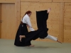 aikido-verbandslehrgang-oeav-budokan-wels-2013-28