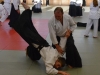 aikido-verbandslehrgang-oeav-budokan-wels-2013-41