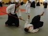 aikido-verbandslehrgang-oeav-budokan-wels-2013-62