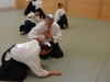 aikido-verbandslehrgang-oeav-budokan-wels-2013-91