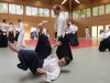 dojo_wels_05_2017-9870