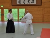 Aikido-Lehrgang-Wels-Budokan-OeAV-2014-05-195