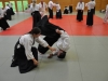 Aikido-Lehrgang-Wels-Budokan-OeAV-2014-05-254