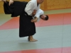 Aikido-Lehrgang-Wels-Budokan-OeAV-2014-05-277