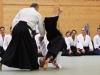 Aikido-OEAVLG2014_228