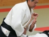 Aikido-OEAVLG2014_290